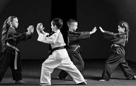 Little Turtles Jiu Jitsu: Where Kids Build The Foundation For Character Development! 